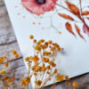 Bouquet aux pavots roses – Image 3