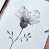 Fleur transparente (4 versions) – Image 5