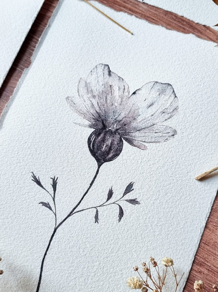 Fleur transparente (4 versions) – Image 5