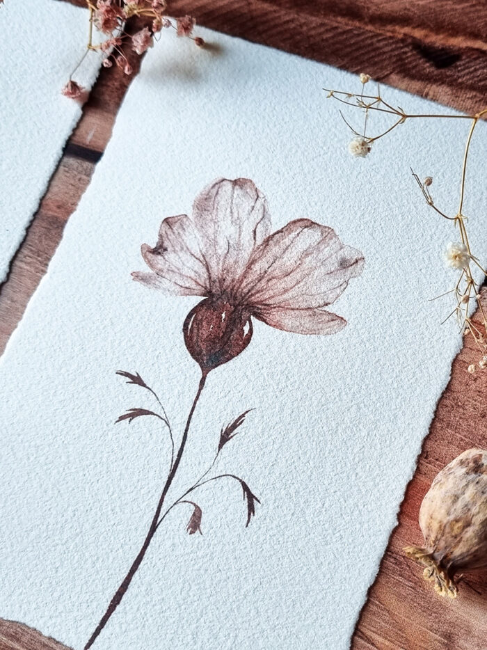 Fleur transparente (4 versions) – Image 3