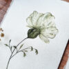 Fleur transparente (4 versions) – Image 4