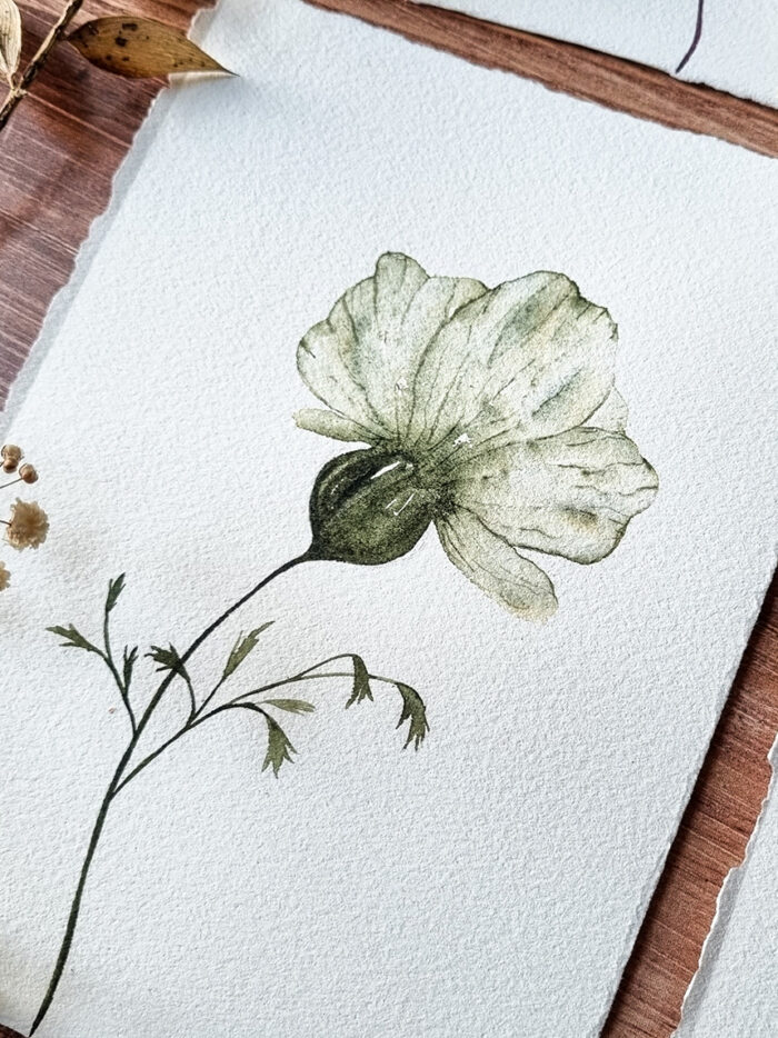 Fleur transparente (4 versions) – Image 4