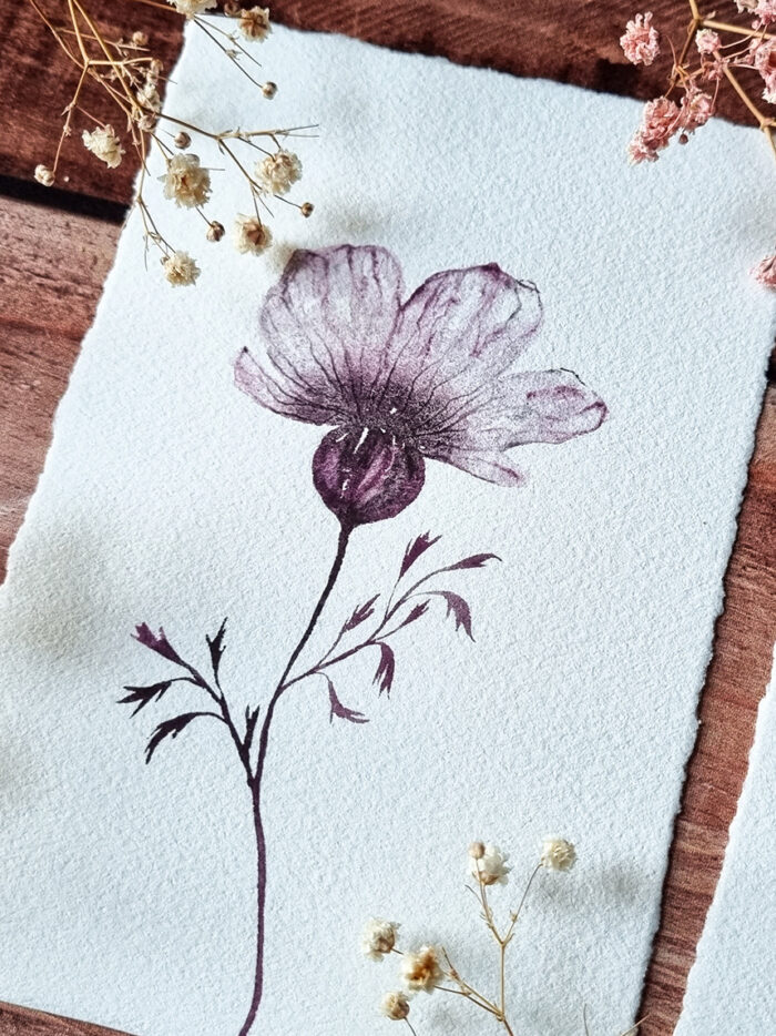 Fleur transparente (4 versions) – Image 2