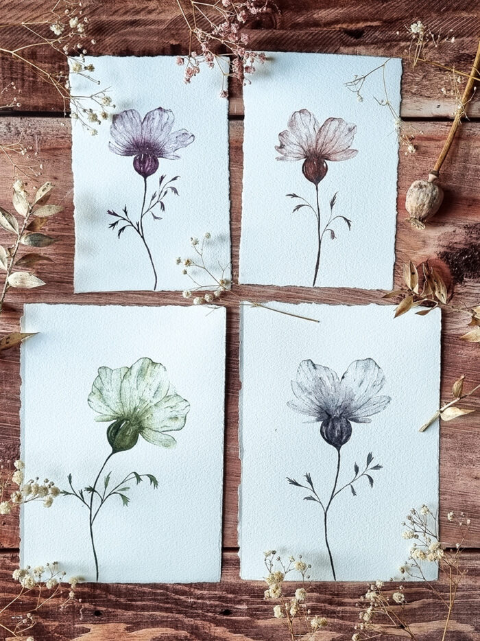 Fleur transparente (4 versions)