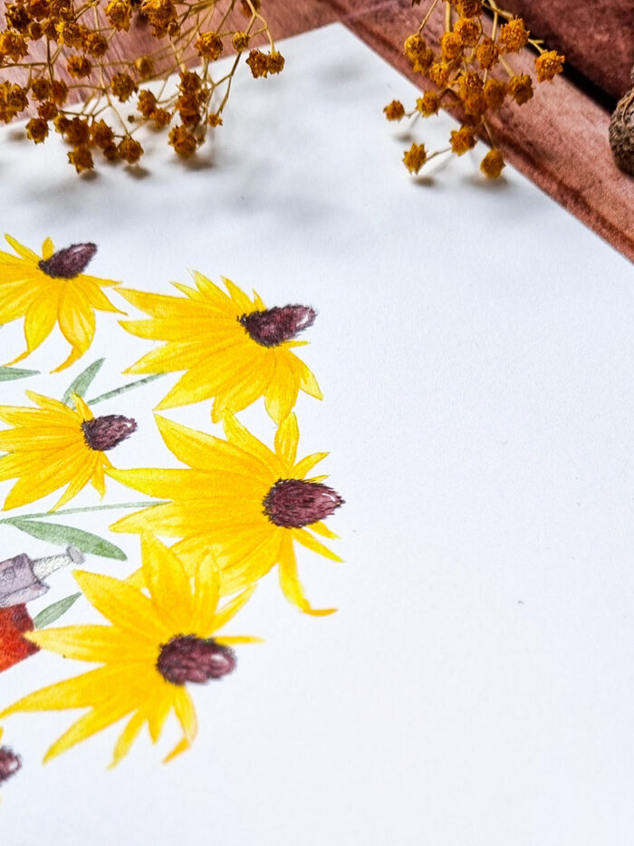 Illustration Maison aux rudbeckies – Image 2